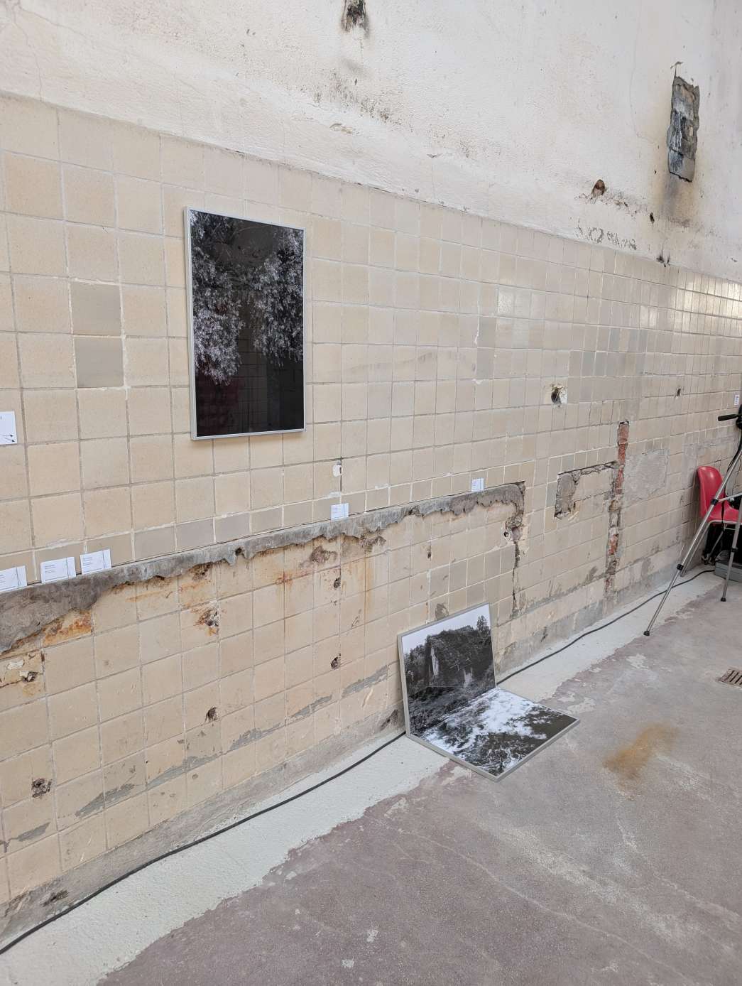 Jean-Miche Dejasmin (DE), Benno Blome (DE), Antje Bessau (DE), Eva Wittig (DE), Christoph Dinges (DE), Boglarka Balassa (DE), Julien Mathis (FR), Viola Korosi (FR), Ben Jack Nash (FR), Elise Planhard (FR), Arthur Poutignat (FR), Hanna Woll (DE), Eintreffen / Exposition. INACT Festival des Arts Mutants 2025, Amalgame.