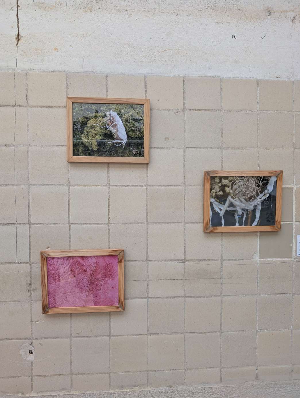 Jean-Miche Dejasmin (DE), Benno Blome (DE), Antje Bessau (DE), Eva Wittig (DE), Christoph Dinges (DE), Boglarka Balassa (DE), Julien Mathis (FR), Viola Korosi (FR), Ben Jack Nash (FR), Elise Planhard (FR), Arthur Poutignat (FR), Hanna Woll (DE), Eintreffen / Exposition. INACT Festival des Arts Mutants 2025, Amalgame.