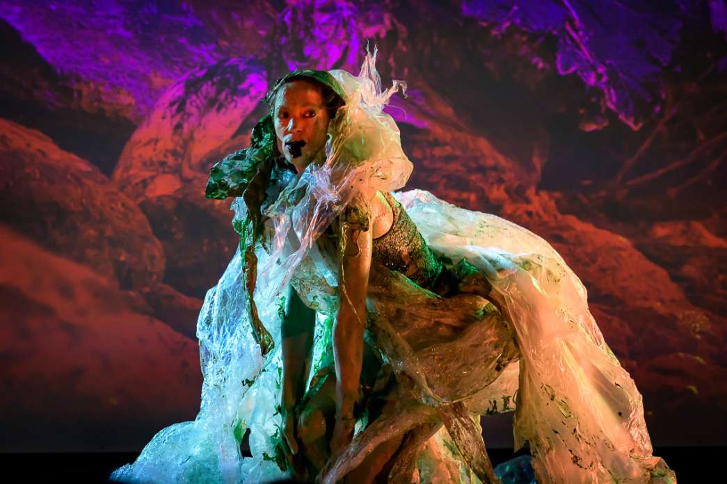 Julie Pichavant, Mimesis. INACT Festival des Arts Mutants 2025, Amalgame.