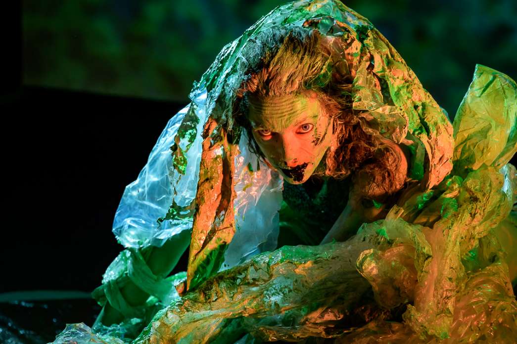 Julie Pichavant, Mimesis. INACT Festival des Arts Mutants 2025, Amalgame.