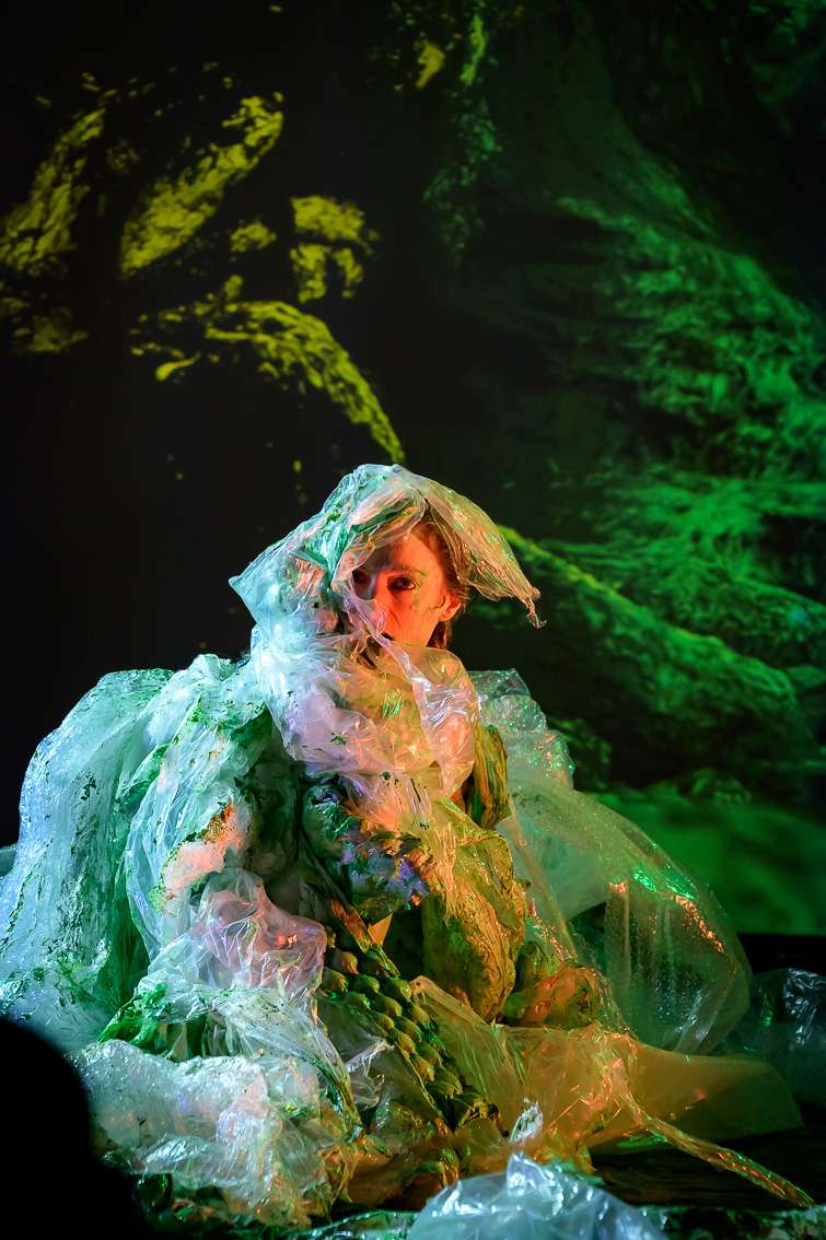 Julie Pichavant, Mimesis. INACT Festival des Arts Mutants 2025, Amalgame.