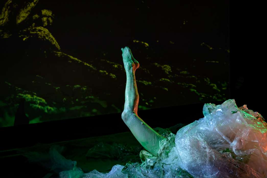 Julie Pichavant, Mimesis. INACT Festival des Arts Mutants 2025, Amalgame.