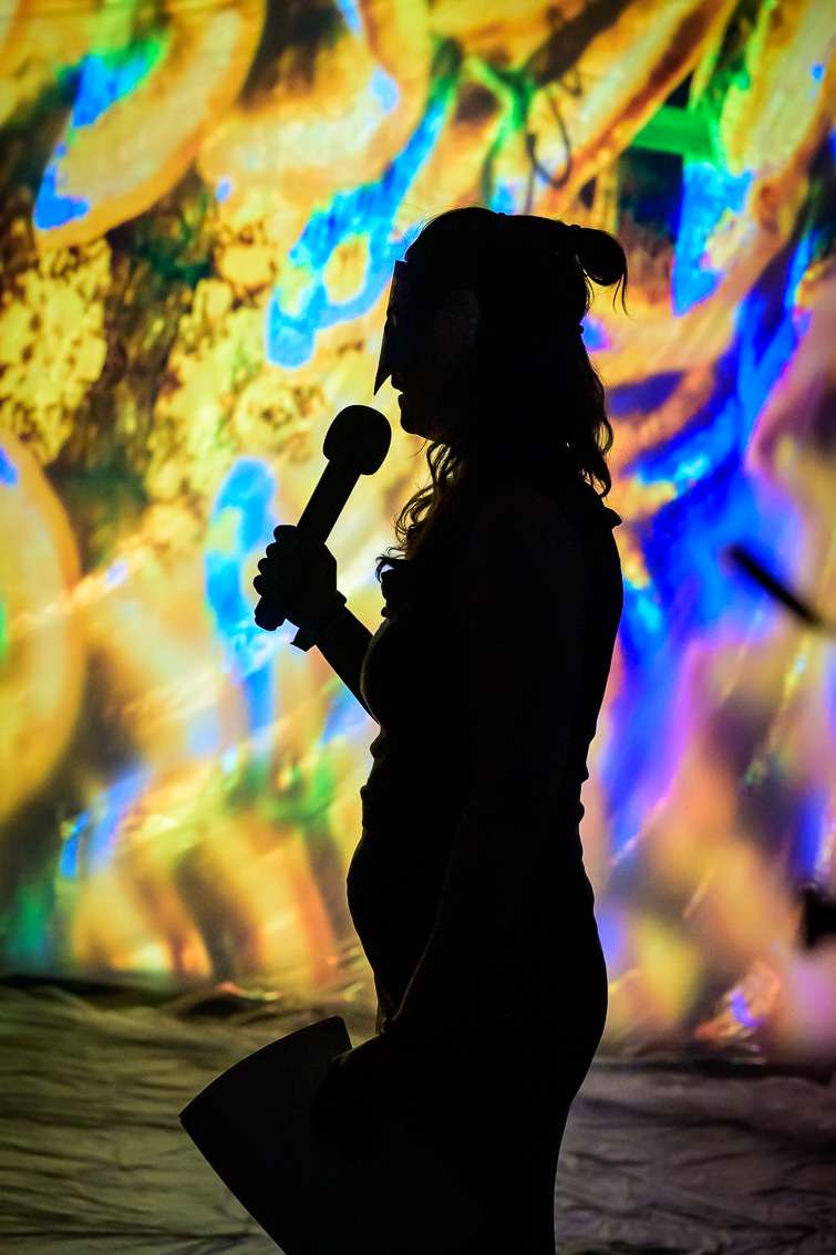 Mathieu Bohet, Yassine Boussaadoun, Manuela Centrone, Yerri Gapar Hummel, Sandrine Lehagre, Nebullium. INACT Festival des Arts Mutants 2025, Amalgame.