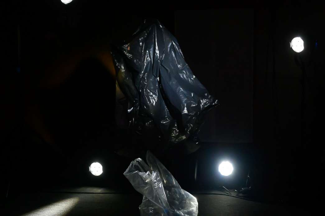 Eun Young Lee Park, Animot. INACT Festival des Arts Mutants 2024, Co-modification.