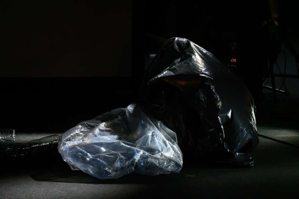 Eun Young Lee Park, Animot. INACT Festival des Arts Mutants 2024, Co-modification.