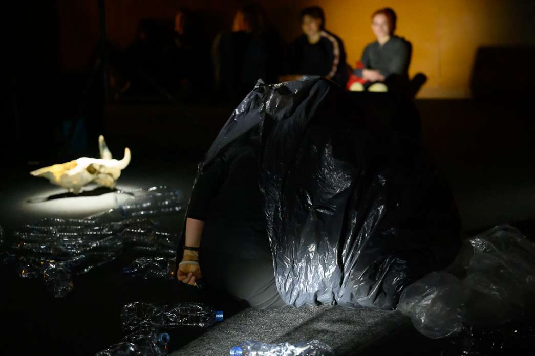 Eun Young Lee Park, Animot. INACT Festival des Arts Mutants 2024, Co-modification.