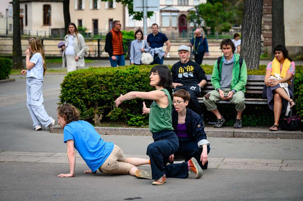 Collectif ZLUT, ECHOS. INACT Festival des Arts Mutants 2024, Co-modification.