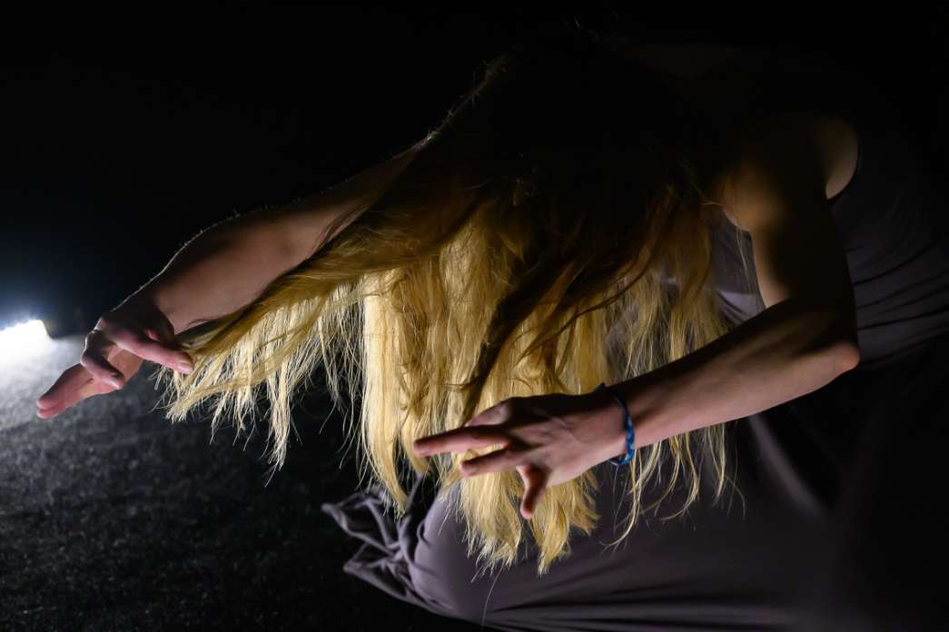 Fiona Chaudon, Compagnie Art mel', P&eacute;rip&eacute;tie d&rsquo;une cage. INACT Festival des Arts Mutants 2024, Co-modification.