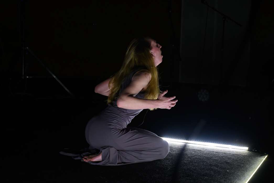 Fiona Chaudon, Compagnie Art mel', P&eacute;rip&eacute;tie d&rsquo;une cage. INACT Festival des Arts Mutants 2024, Co-modification.