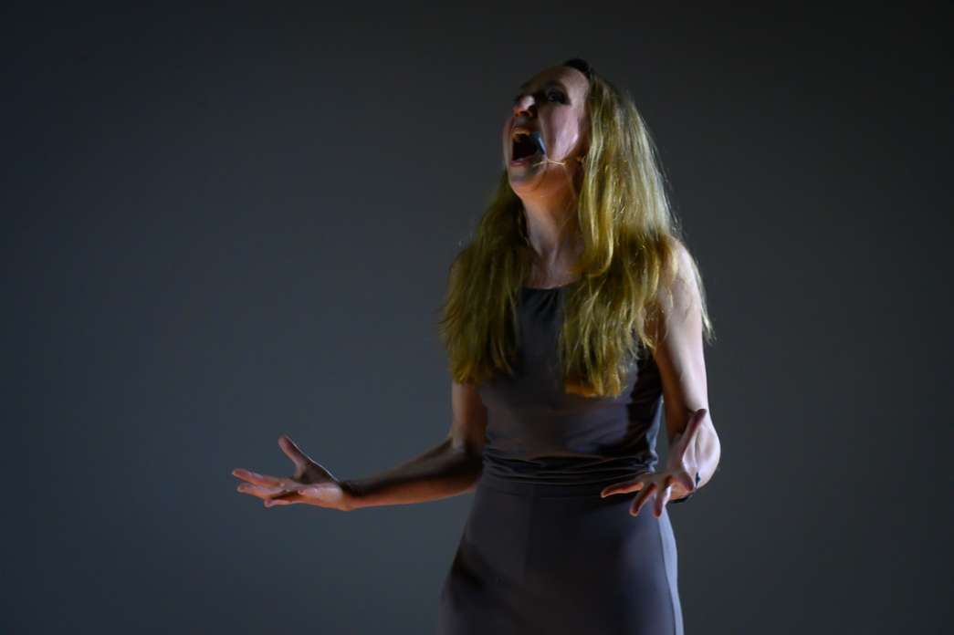 Fiona Chaudon, Compagnie Art mel', P&eacute;rip&eacute;tie d&rsquo;une cage. INACT Festival des Arts Mutants 2024, Co-modification.