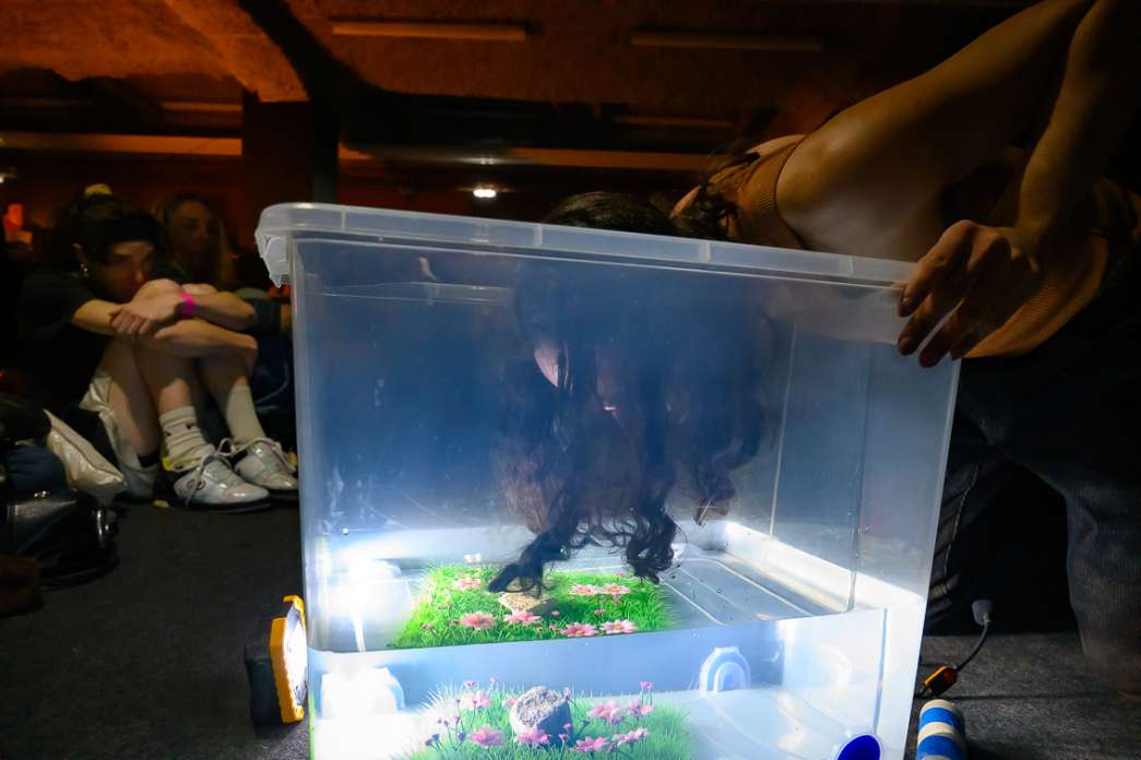 Martin Bas, Qui c'est ce type l&agrave;&nbsp;?. INACT Festival des Arts Mutants 2024, Co-modification.