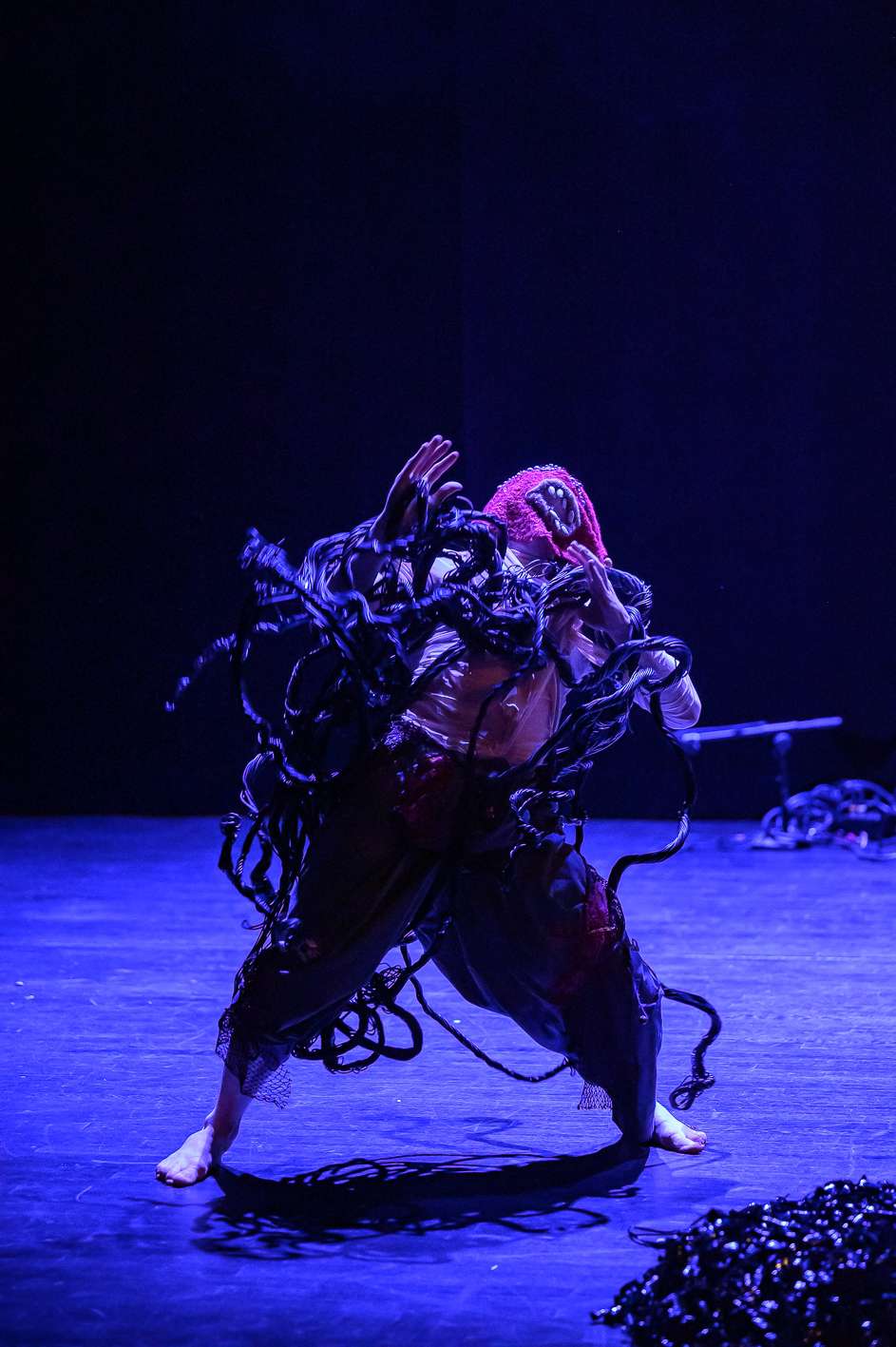 Lapsöria, À l'envers des territoires. INACT Festival des Arts Mutants 2023, Dissensus.