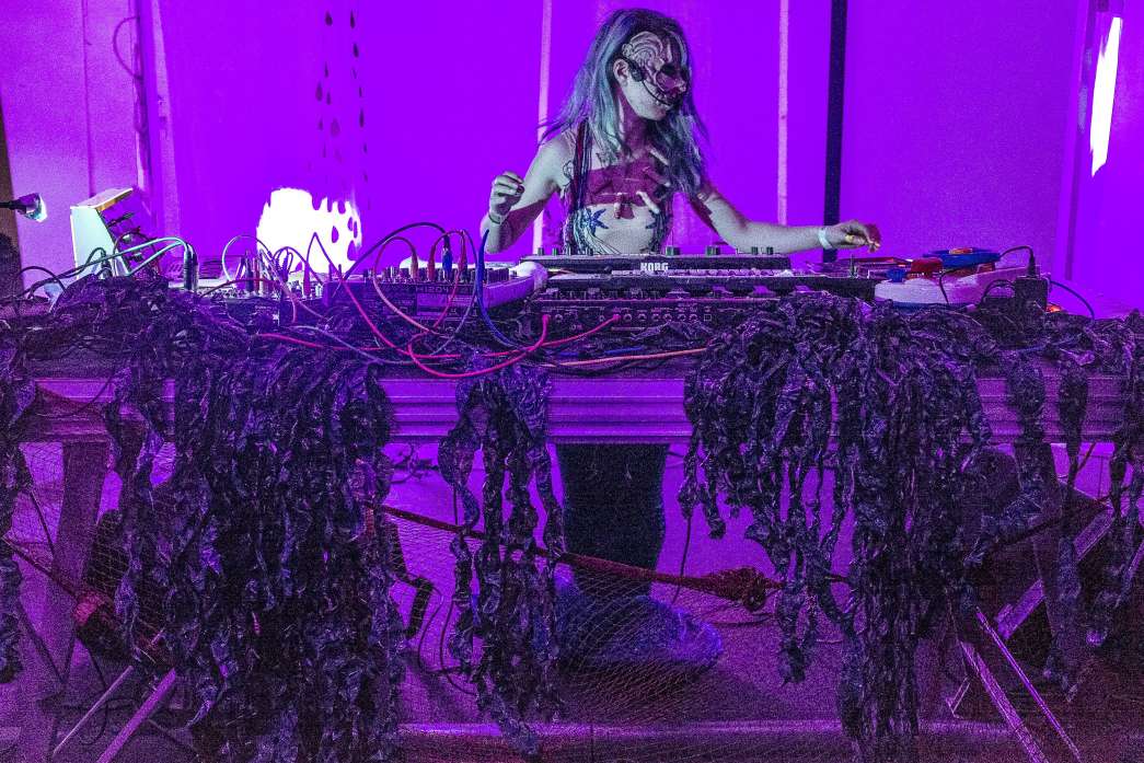 Siren's carcass, Alexandra Brillant, INACT 2019. Photo : Patrick Lambin.