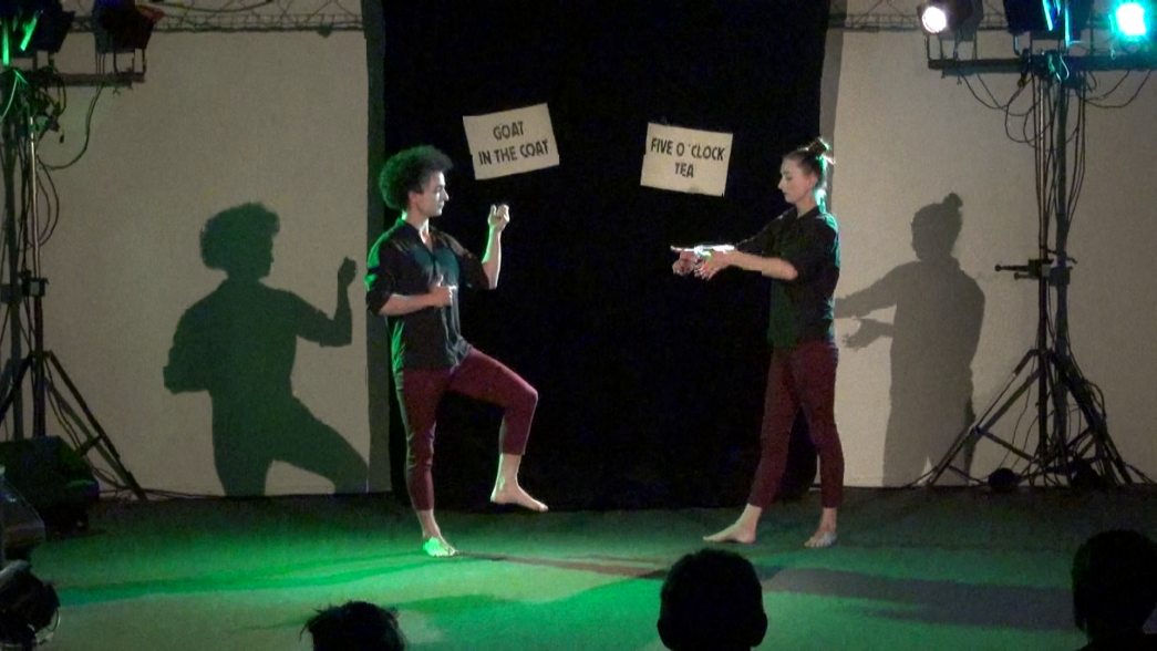 Légende : Absurdités, Goat in the coat, INACT 2018. Photo : Patrick Lambin.