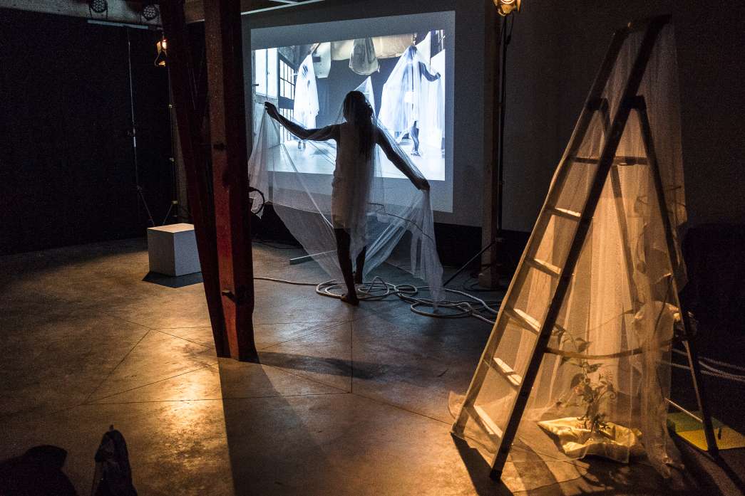 Corpora nostra, Arno Luzamba, Violette Palasi, inact22