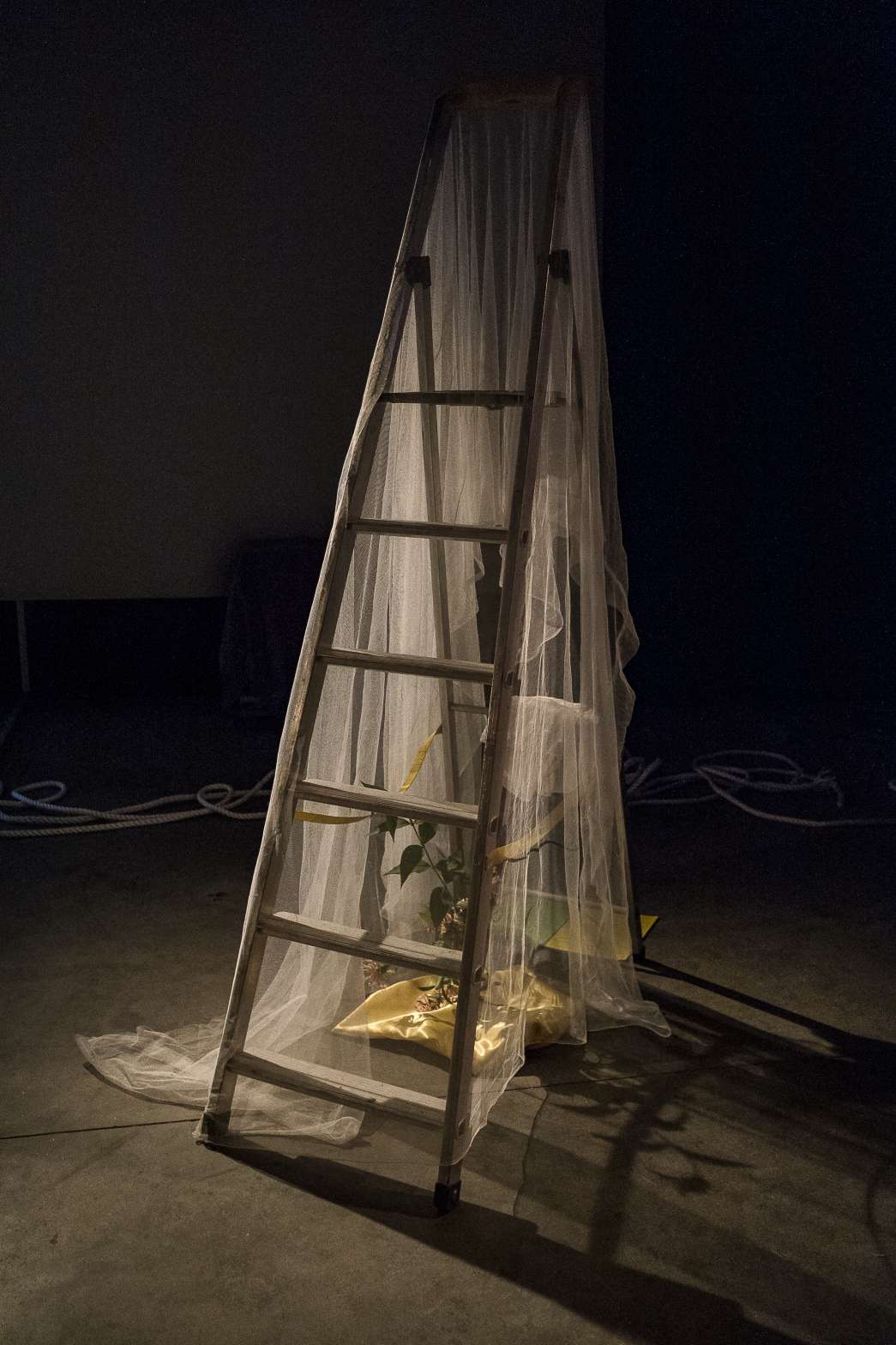 Corpora nostra, Arno Luzamba, Violette Palasi, inact22