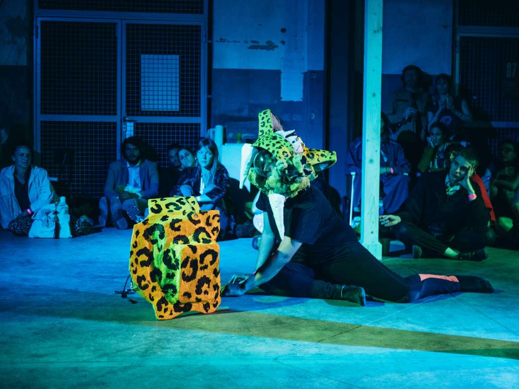 The Paradoxical Myth of the Crazed Jaguar and Nene del Solar, Tremendo Parche Latino, inact2022