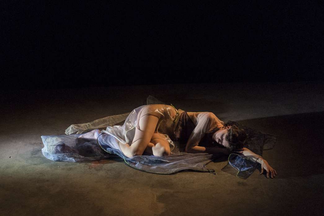 Je suis venue ici pour me cacher, Zo&eacute; Coupp&eacute;, inact2022